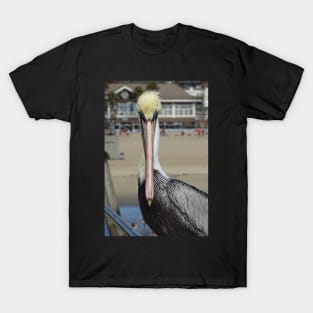 Pelican Eye to Eye T-Shirt